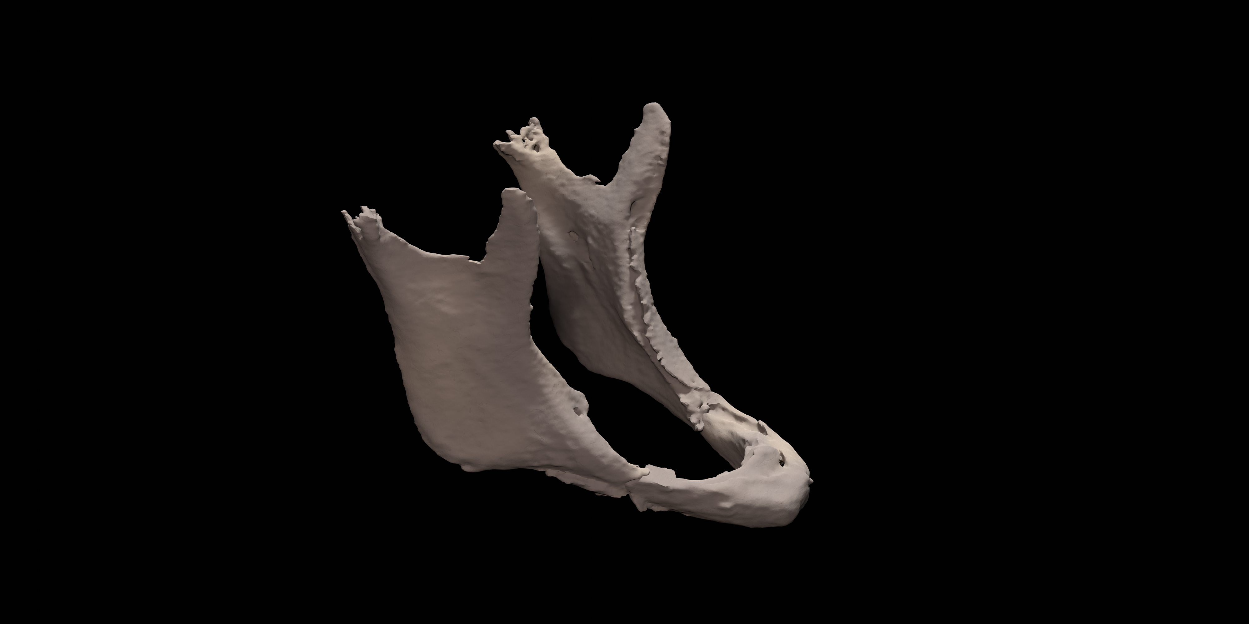 lab 3 - lab 3 javascript name: partner: lab task 1 ... Trauma - 3D-Lab+ 3DLab-LUMC